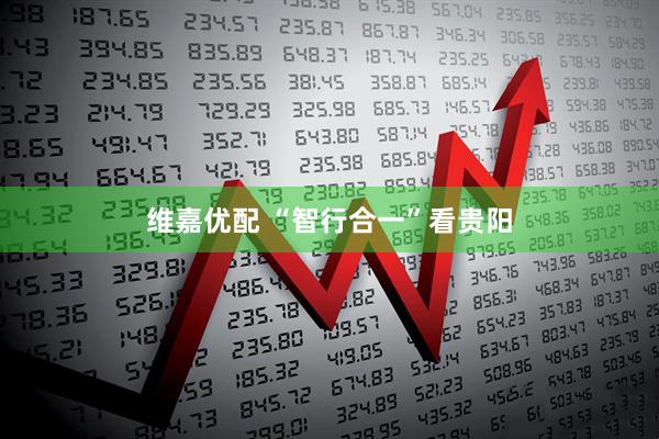 维嘉优配 “智行合一”看贵阳
