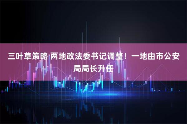 三叶草策略 两地政法委书记调整！一地由市公安局局长升任