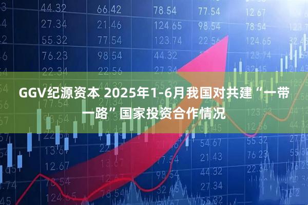 GGV纪源资本 2025年1-6月我国对共建“一带一路”国家投资合作情况