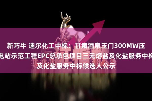 新巧牛 迪尔化工中标：甘肃酒泉玉门300MW压缩空气储能电站示范工程EPC总承包项目三元熔盐及化盐服务中标候选人公示