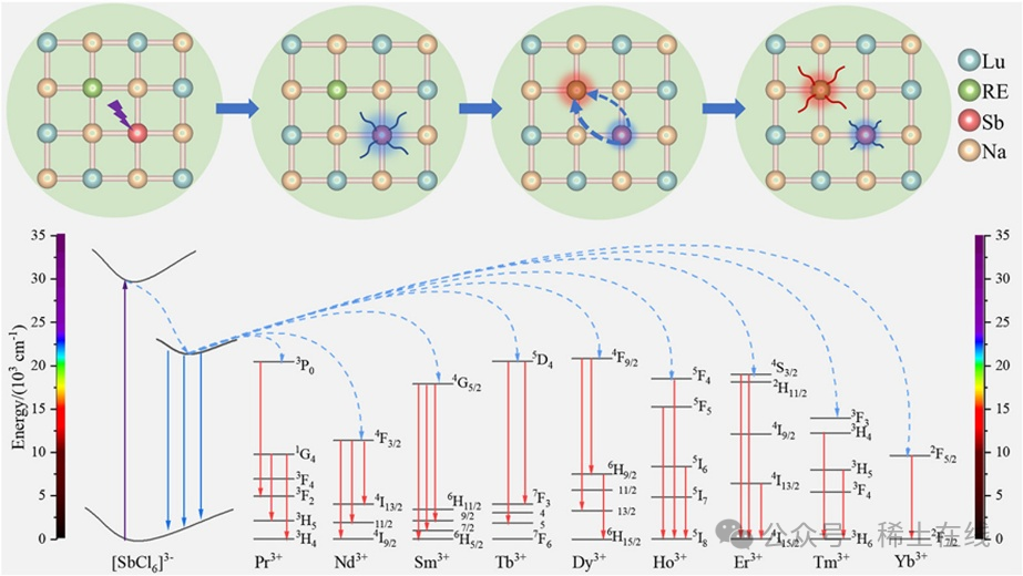 来   源：中国稀土网