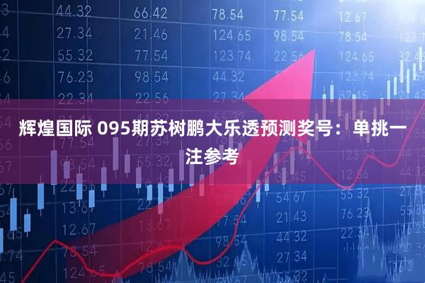 辉煌国际 095期苏树鹏大乐透预测奖号:单挑一注参考